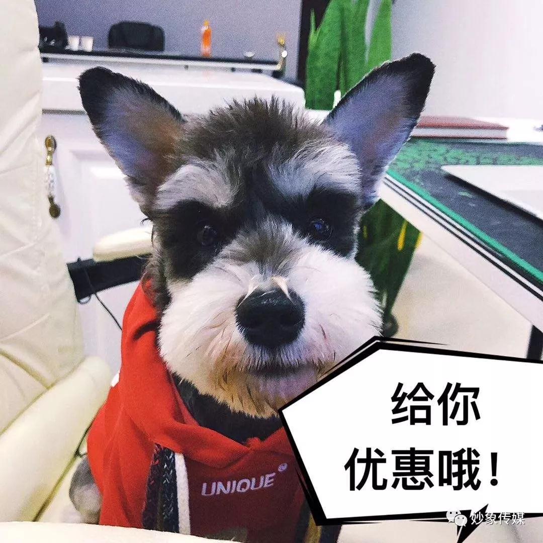 微信圖片_20200401104302.jpg 微信圖片_20200401104302.jpg